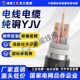 铠装YJV22电缆线4/6/10平方电线电缆国标铜芯户外插座电机电源线