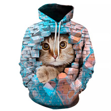3D印花跨境欧美外贸可爱猫猫带帽卫衣男款潮卫衣猫咪动物厂家批发