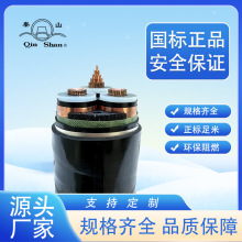 �㽭����YJV/VV300ƽ����о2о3о4о5о���˼��~�����|