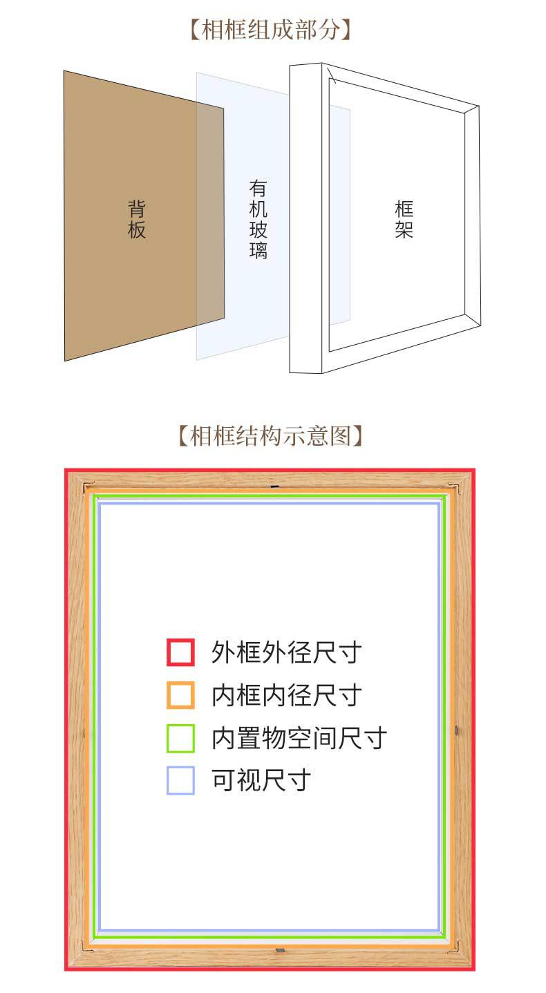 贝壳标本宇航员礼品画框