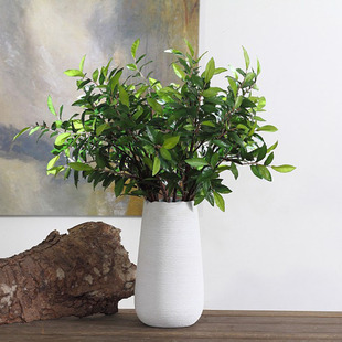 �ȼ������W�L��Gֲ�~�Ӳ廨�OӋ���b����~��������ֲ��[