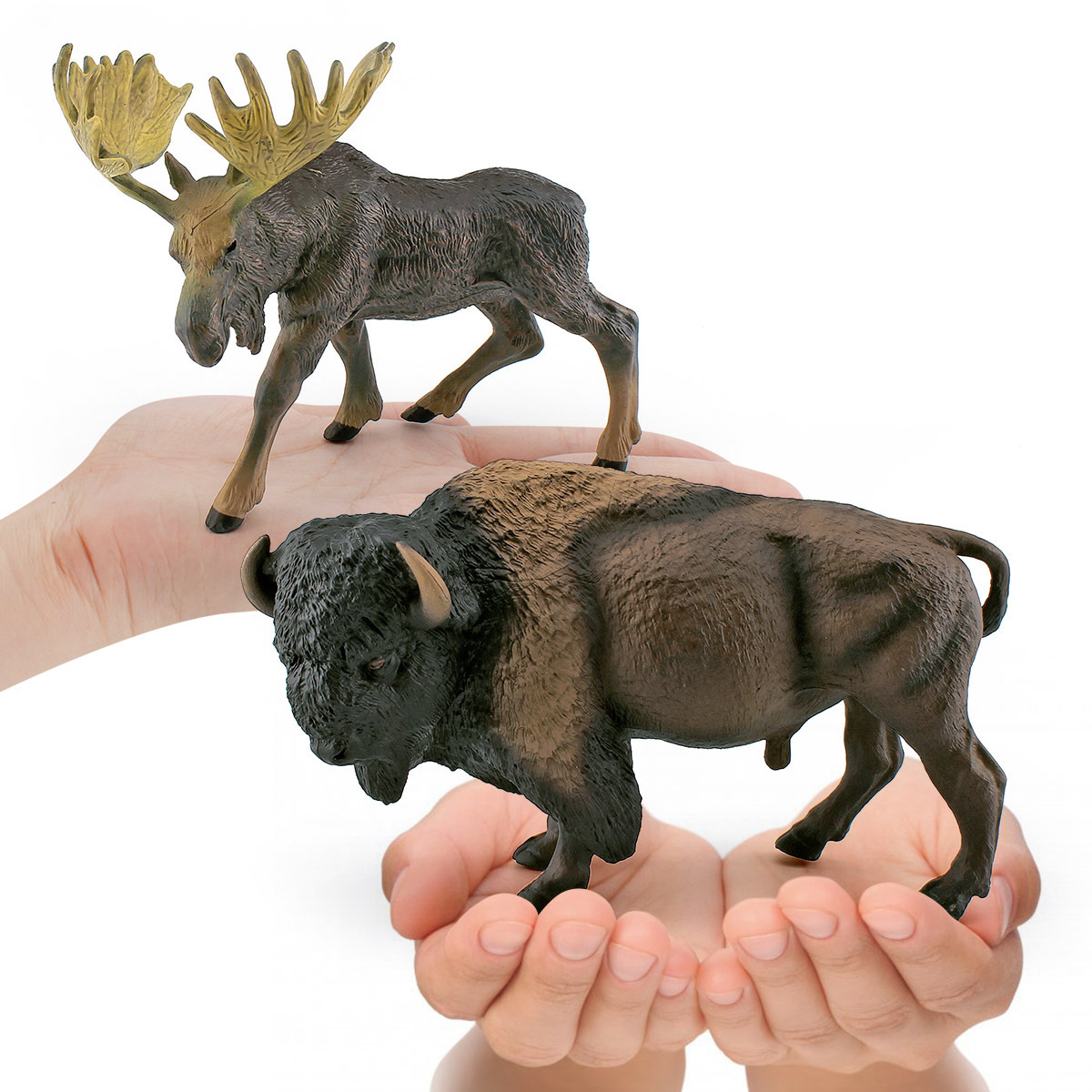 Simulación cognitiva infantil Americana corrida de toros Big Horn ciervos bosque animal modelo decoración hecha a mano decoración de escritorio Amazon
