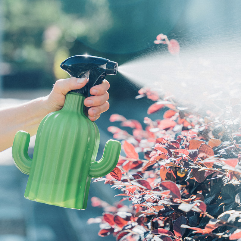 Regadera creativa tipo cactus para jardinería
