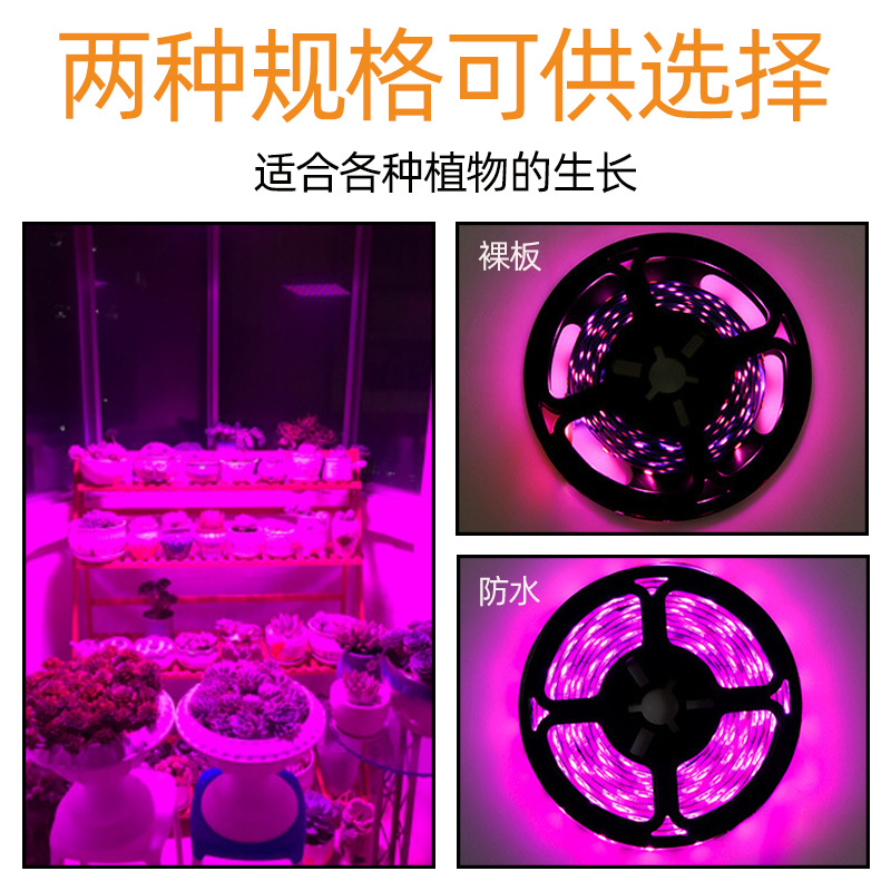 Tira de luz LED 2835 lámpara de crecimiento de plantas 5V USB impermeable espectro completo flor vegetal suculentas Luz de relleno tira de luz de la planta