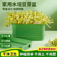 分销代发家用商用育苗盘种植发芽盆豆芽机豆芽发芽神器黄绿豆芽罐