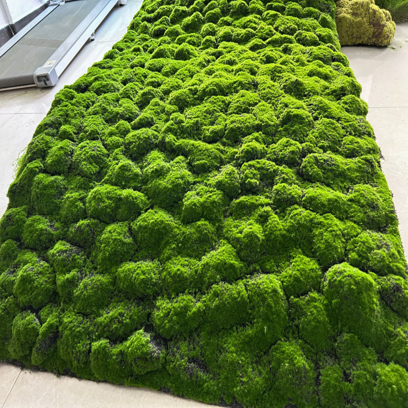 No. 3 multi-branched brown price per square meter