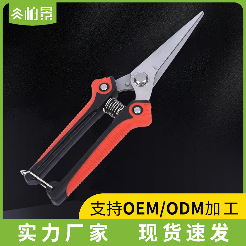 不锈钢稀果剪果树修枝剪尖头摘果剪果枝蔬果剪园林花艺盆景剪货源