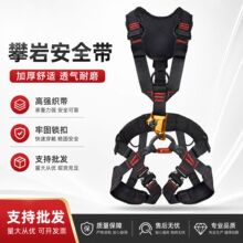 亚马逊五点式安全带户外攀岩垂降高空作业安全带全身速查式涤纶