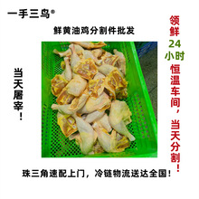 一手三鸟供港黄油鸡全腿鸡腿手枪腿鸡翅鸡脚鸡胸肉鲜鸡分割件批发