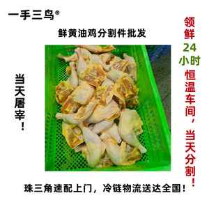 һ�����B�����S���uȫ���u���֘����u���u�_�u�����r�u�ָ�����l