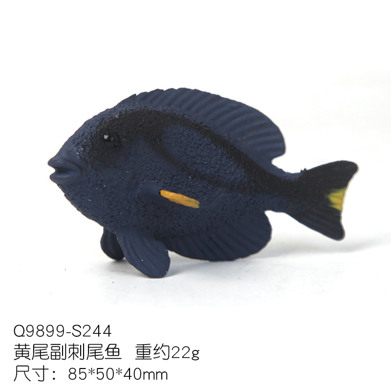 Pez cola de espina amarilla