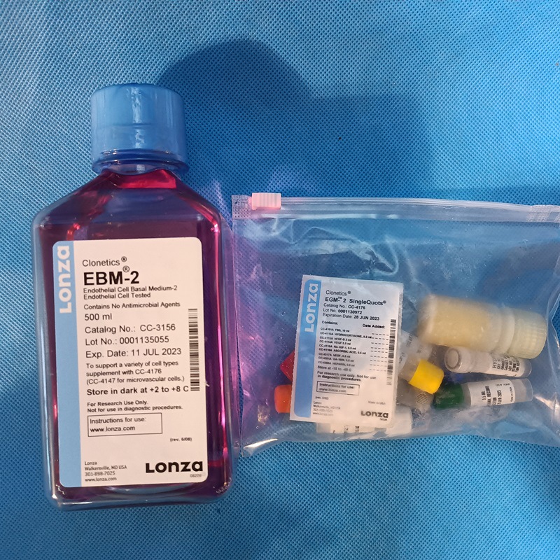LONZA CC-3162  EBM-2 内皮细胞培养基 套装