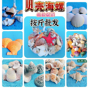 ���ؐ����ˮ���^һ��Ư��ƿؐ��Ӱ΢���^��Сë�Ҿ�ƿ�~��