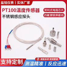 厂家供应端面热电阻wzpm/wzpm2-201/001 PT100电机专用热电阻