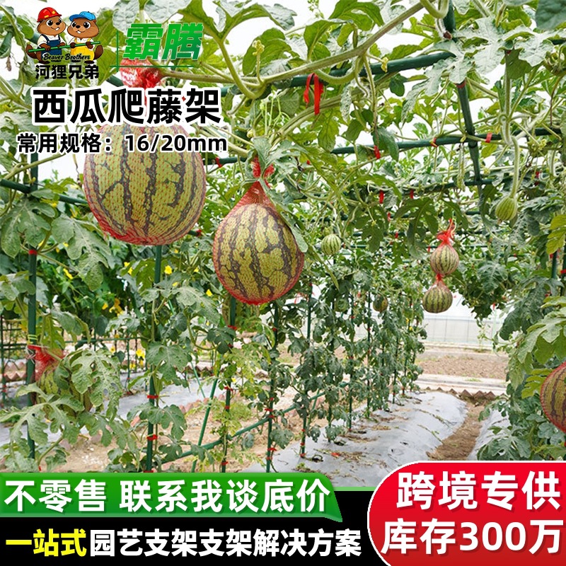 跨境专供西瓜爬藤架瓜果蔬菜爬藤支架杆加厚包塑钢管植物爬藤架子