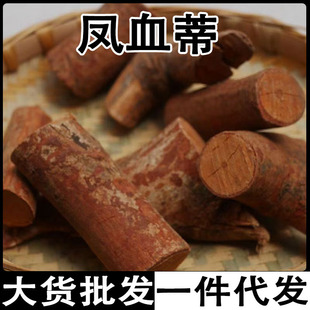 �PѪ�� �ز��^ ����PѪ�ٵز��^���l���l