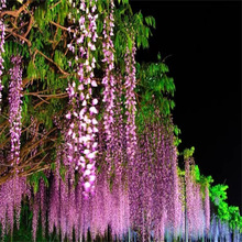 ͥԺ̨Nֲձ໨ٻ^Ȥζɻ_