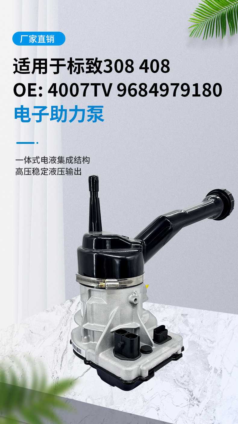 308/Applicable to Peugeot Power Steering Pump, Citroen Car Power Steering Pump, Hydraulic Power Steering Pump Parts, Cross-Border Electric
