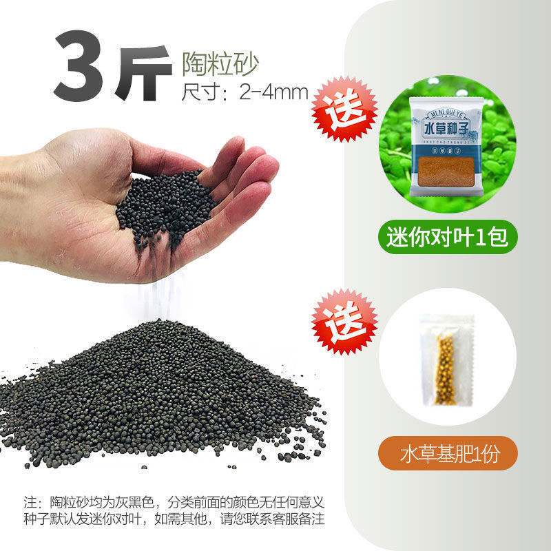 嘘援娉ユ壒鍙戙€愪笉舞枃丸瀀耣ャ€戦櫠绮掔戞枸shoulder a few搴琴爞更曟曟曘昘棌绠 argue