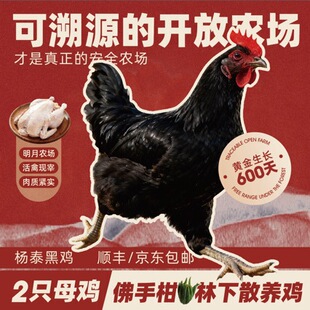 �¹��� ɢ�B600���̩���u����ֻ�b��
