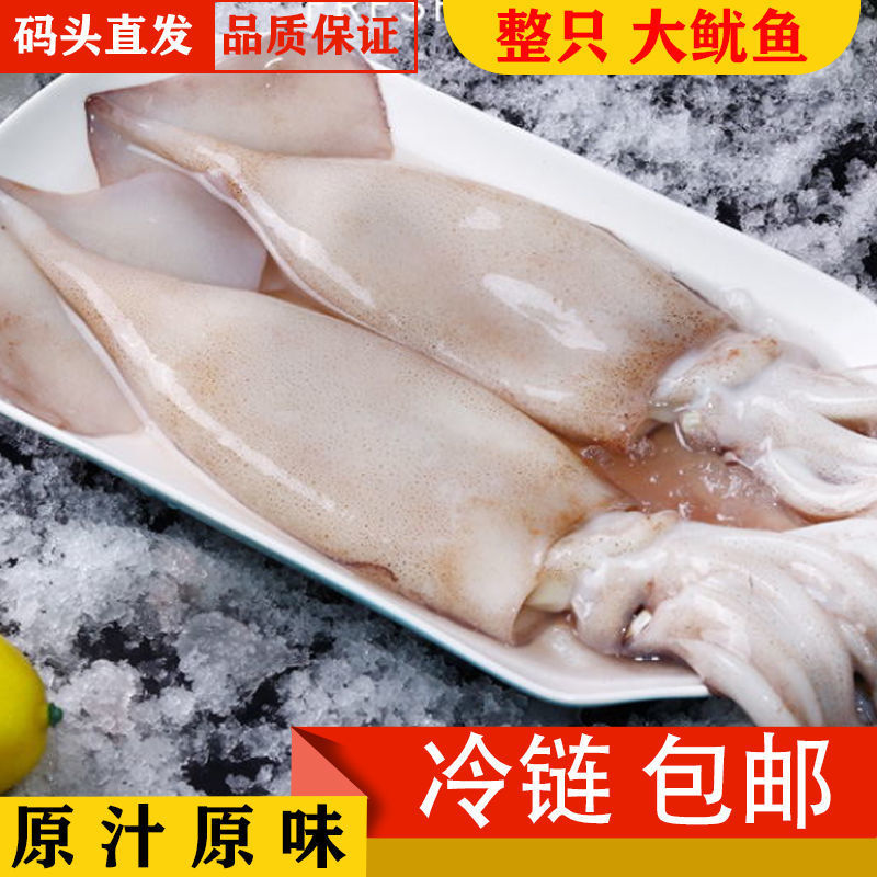 整只冷冻冰鲜净重大鱿鱼烧烤火锅食材批发海鲜活包邮