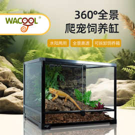 wacool玩酷爬缸爬宠爬虫饲养箱乌龟鬃狮蜥蜴蛇守宫蛙雨林缸玻璃缸