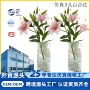 仿真桌面家居客厅假花