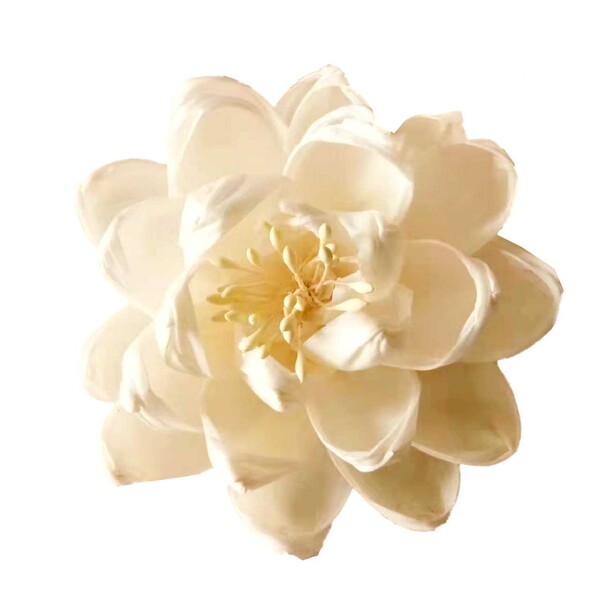 [Sample shooting] Aromatherapy dry flower