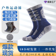 两只狼男士加厚毛巾底户外登山袜棉吸汗防臭透气中筒运动袜子