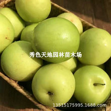 �������󗗳����������ش�̖�����Ϸ��ͺ��޽ӱ����O��ţ�̹���