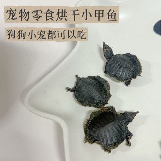 Small Hamster Pet Dog Drying Small Turtle Healthy No Additives High Protein Hamster Snacks Small Pet Teeth Grinding