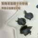 Small Hamster Pet Dog Drying Small Turtle Healthy No Additives High Protein Hamster Snacks Small Pet Teeth Grinding