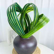 仿真钢草软胶绿铁线咸水草剑叶君子兰蕙兰 DIY花束插花盆花配材