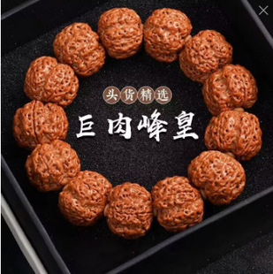 ��Ȼ����������ִ����l �Ჴ�����w�����������ʿ��������ִ�