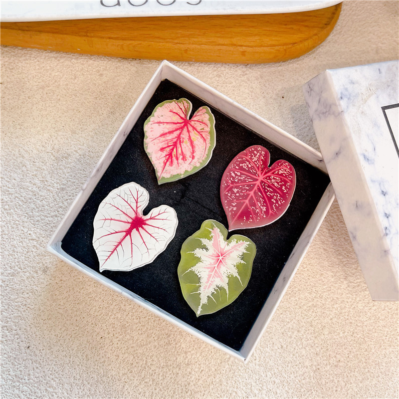 Green Plant Cloud Cultivation Plant Badge Science Enlightenment Children's Brooch Tropical Begonia Colorful Taro Pin Gift for Children