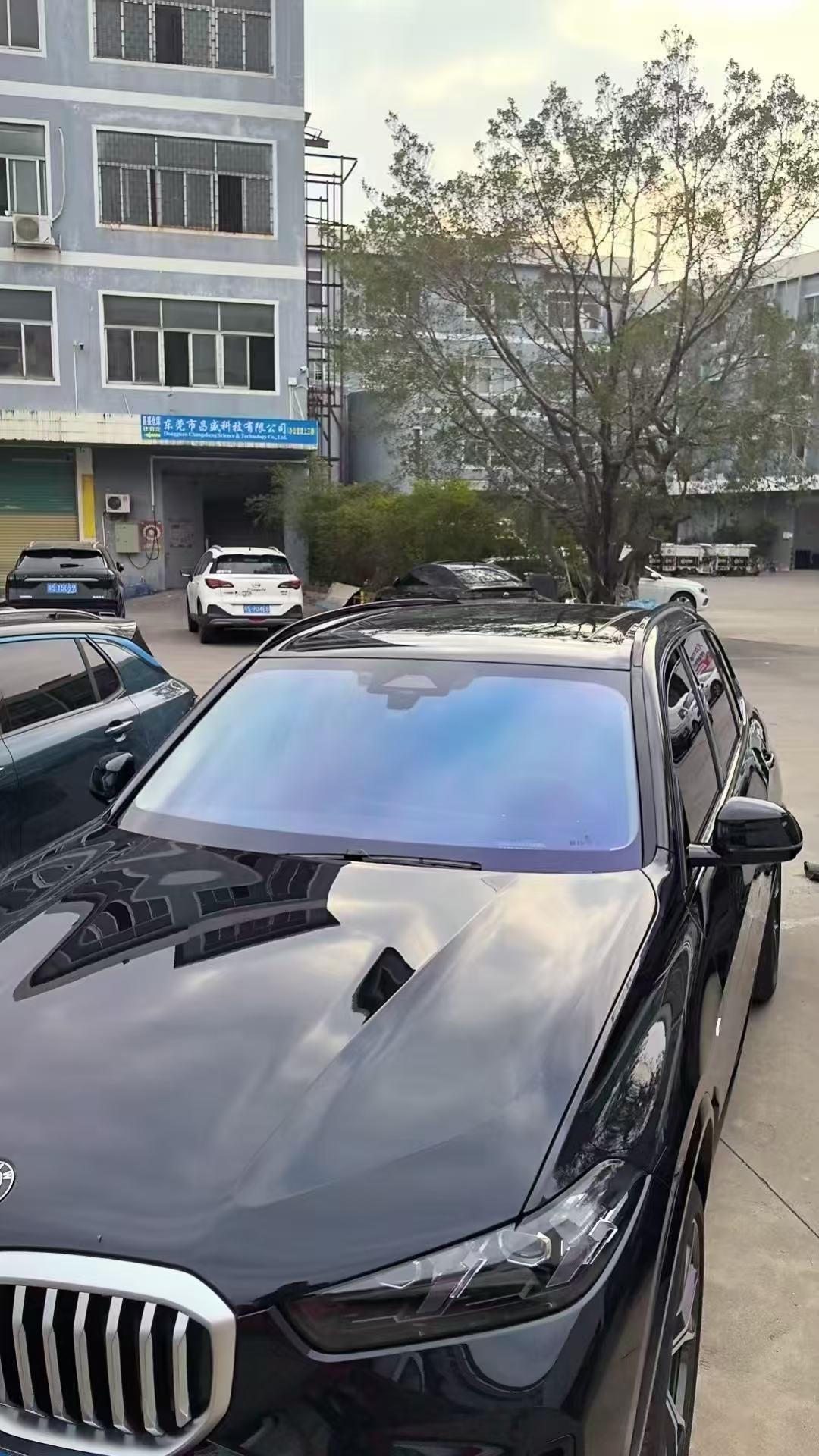 Kpu Hydrophobic Car Glass Shield Front Windshield Purple Protective Film Explosion-Proof Film Anti-Sand and Stone Collision Hd Shield