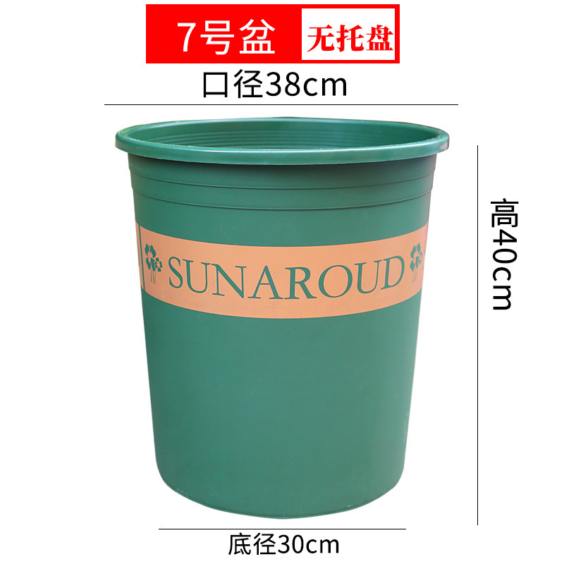 特大サイズの厚いガロン鉢青山プラスチック鉢に木を植えます。|undefined