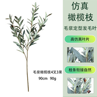 ����ֲ��lë�ϙ�֦�Ҿӻ�c�廨�b羳��̹��S��֦ë�{�ϙ��~