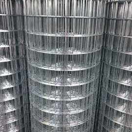 冷热镀锌钢丝网保温抹灰抹墙防裂电焊网墙面加固铁丝网点焊钢丝网