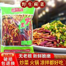 四川清水蕨菜1500g袋装新鲜炒菜腌菜凉拌火锅麻辣烫食材龙爪菜