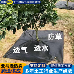 生態の穴をあけて草を草取りします。農業用果樹野菜の苗木は黒の草を分解して草を隠します。