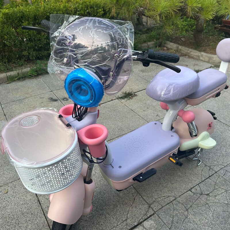 Factory Direct Sales, Economical, Efficient, Customizable, Affordable Mobility Vehicles, Electric Bicycles, Battery-Powered Vehicles Factory Direct Sales, Economical, Efficient, Customizable, Affordable Mobility Vehicles, Electric Bicycles, Battery-Powered Vehicles
