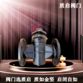 X43W-10管道启闭阀/铸铁法兰二通旋塞阀 泉州质启二通旋塞阀DN100