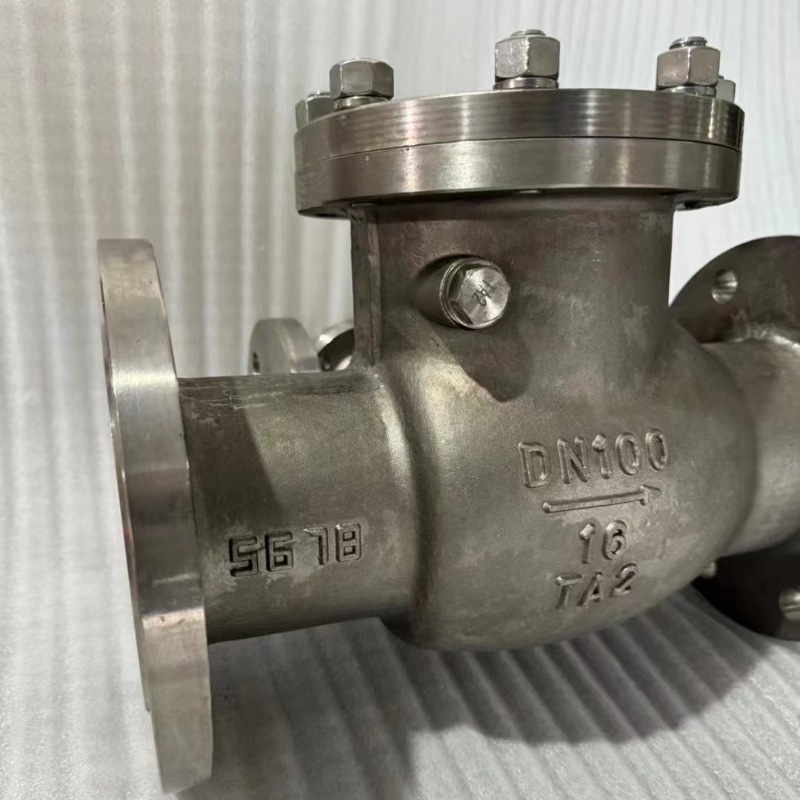 TA2旋启式止回阀4