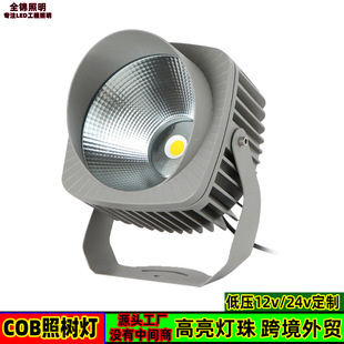 Cob Tree Lighting Rockery Lawn Projection Light Landscape Tree Lighting 10W20W30W Outdoor Waterproof Floodlight Floodlight