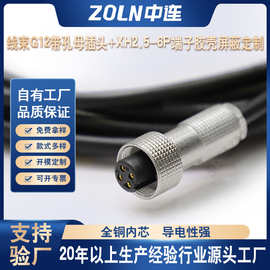ZL工厂直销G12防水连接器 2/3/4/5/6芯公母头 插头线束 插座带线