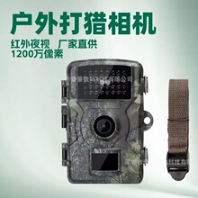 ɭ�֑���t��Б� ���C���C��ҹҕץ�ıO�yҰ������ ���C���C