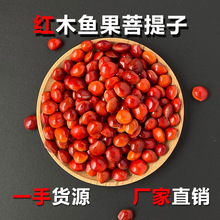 �tľ�~����׳�Ʒ�ִ�����ɢ���ֹ��ִ����