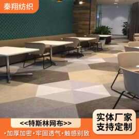 特斯林PVC编织地毯PVC发泡复底游艇办公室地毯迎宾地毯电梯地垫