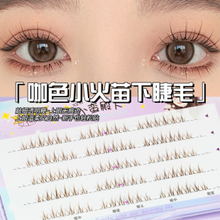 ����ɫС�����½�ë ������ɫ�ٽ�ë ��Ȼ����޽ӑ��˲�ɫ��ë